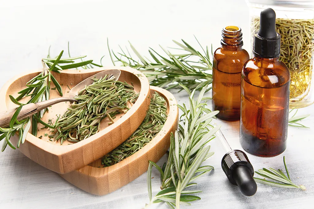 Rosemary essential oil: therapeutic potential in hair growth and alopecia management